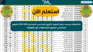 «إشراقة جديدة» رابط تحميل نتائج السادس الإعدادي 2025 PDF بالرقم الامتحاني لجميع المحافظات فور ظهورها